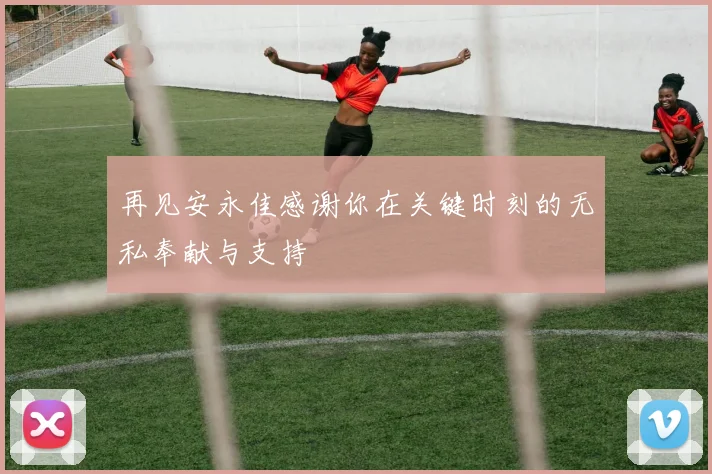 再见安永佳感谢你在关键时刻的无私奉献与支持